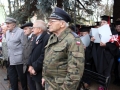 Święto Niepodległości  (135)