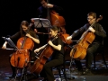 Alcoholica Orchestry Mixtura CK Muza Lubin (17)