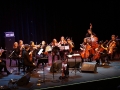 Alcoholica Orchestry Mixtura CK Muza Lubin (4)