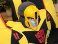 Transformers Galeria Cuprum Arena (14)