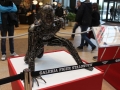 Transformers Galeria Cuprum Arena (4)