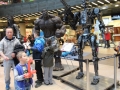 Transformers Galeria Cuprum Arena (53)
