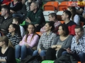 zaglebie vistal 016-sign
