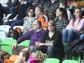 zaglebie vistal 017-sign