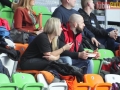 zaglebie vistal 062-sign