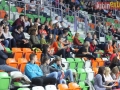 zaglebie vistal 067-sign