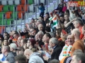 zaglebie vistal 090-sign