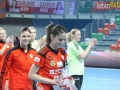 zaglebie vistal 095-sign
