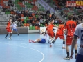 zaglebie stal 001-sign