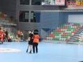 zaglebie stal 005-sign