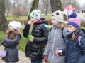 Noc sów Lubin, park wrocławski (15)