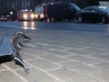 image007