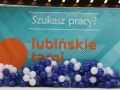 targi pracy lubin (3)