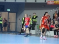 zaglebie vistal 082-sign