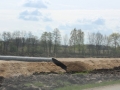 budowa Drogi S3 Lubin - Legnica (37)