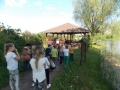 Gogolowice SP 9 kolo przyrodnicze (11)