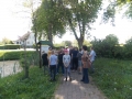 Gogolowice SP 9 kolo przyrodnicze (13)