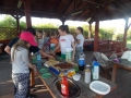 Gogolowice SP 9 kolo przyrodnicze (53)