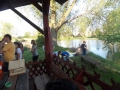 Gogolowice SP 9 kolo przyrodnicze (56)