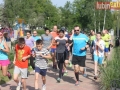 49 parkrun 018-sign