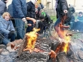 Dzien Ziemi