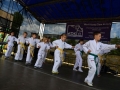 festyn rodzinny MDK Lubin (3)