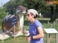 54 parkrun 060-sign