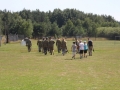 boks paintball 14
