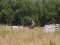 boks paintball 24