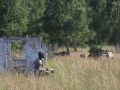 boks paintball 29