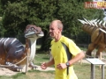 56 parkrun24-sign