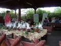 Gogołowice_pigwa_i_róża14