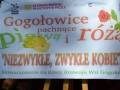 Gogołowice_pigwa_i_róża2