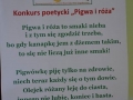 Gogołowice_pigwa_i_róża38