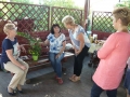 Gogołowice_pigwa_i_róża67