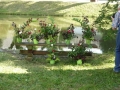 Gogołowice_pigwa_i_róża73