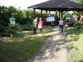 Gogołowice_pigwa_i_róża92