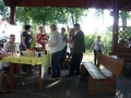 Gogołowice_pigwa_i_róża94