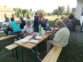 dożynki gogołowice (14)