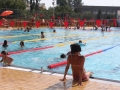 basen RCS koniec lata (6)