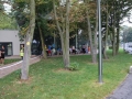66 parkru 069
