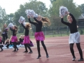 święto miodu Przemków 2016 (13)
