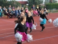 święto miodu Przemków 2016 (15)