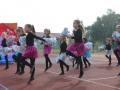 święto miodu Przemków 2016 (18)