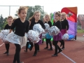 święto miodu Przemków 2016 (20)