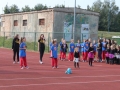 święto miodu Przemków 2016 (23)