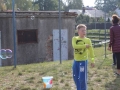 święto miodu Przemków 2016 (26)