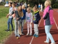 święto miodu Przemków 2016 (29)