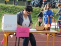 święto miodu Przemków 2016 (37)