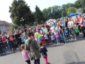 święto miodu Przemków 2016 (45)